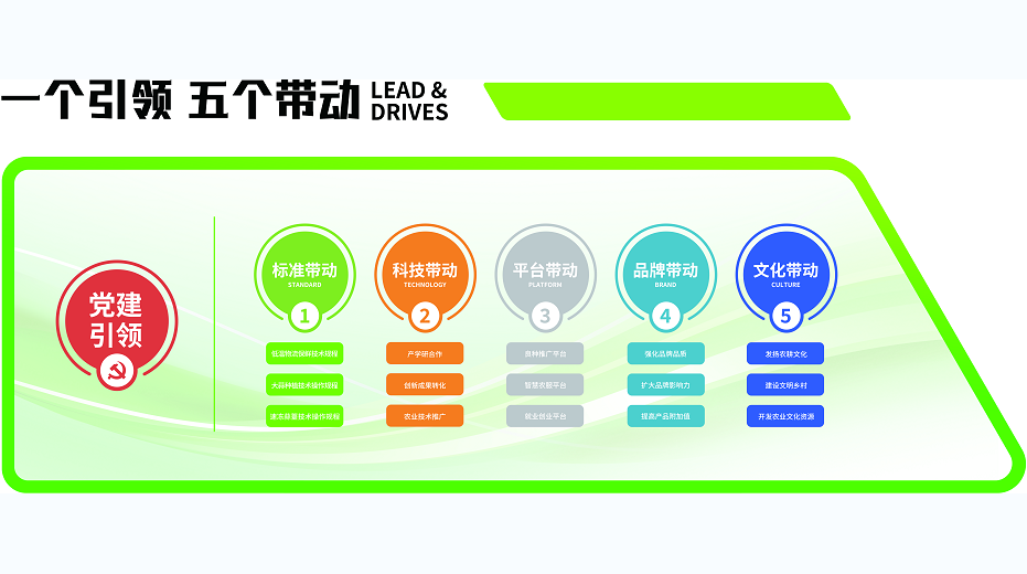 高产种植技术指导的主要原则是什么