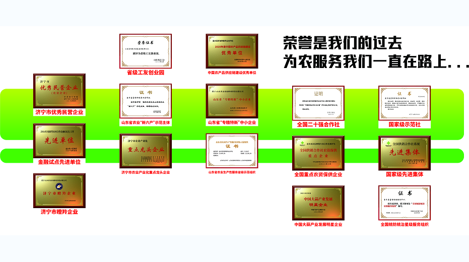 如何选择优质育苗材料促进植株生长？