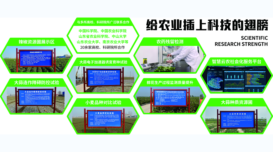 2026年农业生产托管服务，助力高效农业管理